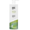 Фото товару BAIN GRAS SHAMPOO - Шампунь для жирного волосся