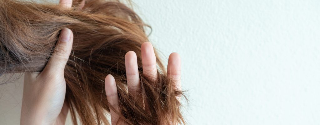 Close up hand holding dry damaged hair problem on white background.